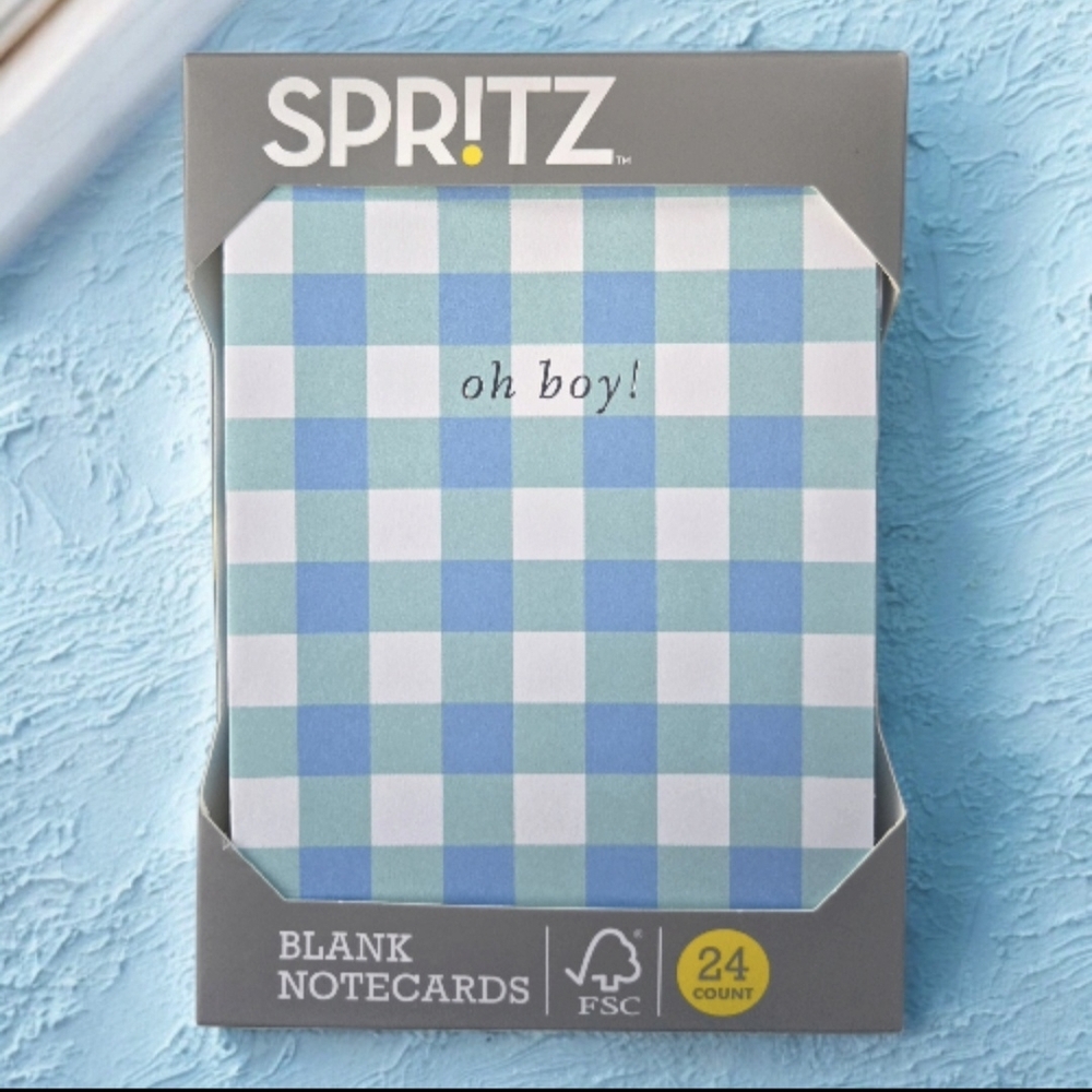 Spritz Checkered Blue, green & White Notecards 'OH BOY' (Pk Of 24) NWT